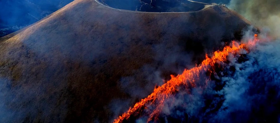 有限会社アイカット
